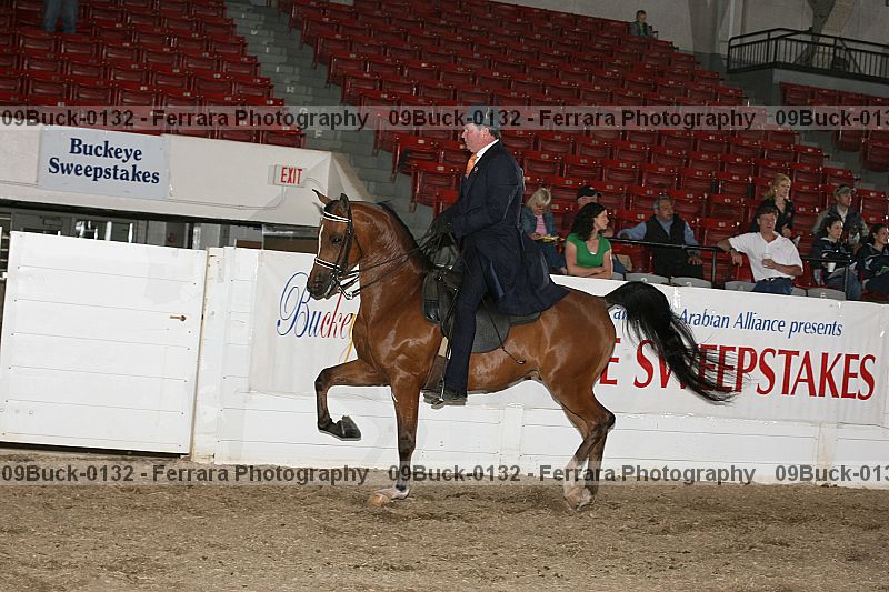 Proof 09buck-0132