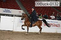 09buck-0132 proof