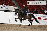09buck-0133 proof