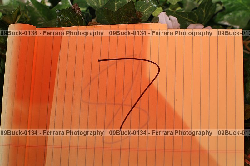 Proof 09buck-0134