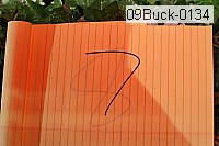 09buck-0134 proof
