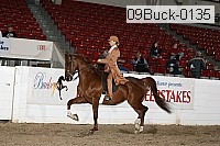 09buck-0135 proof