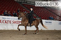 09buck-0136 proof