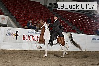 09buck-0137 proof