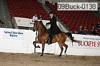 09buck-0138 proof