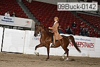 09buck-0142 proof