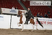 09buck-0146 proof