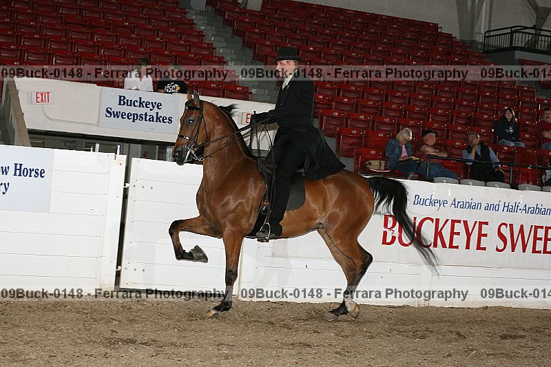 Proof 09buck-0148