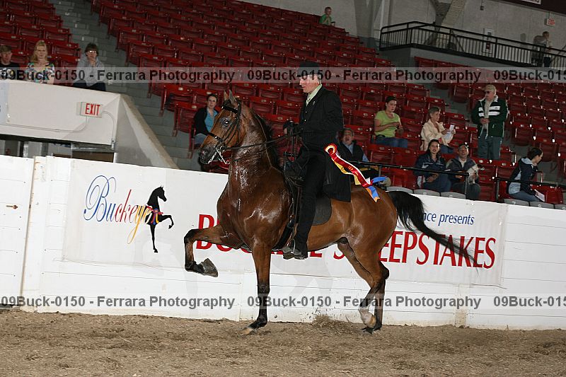 Proof 09buck-0150