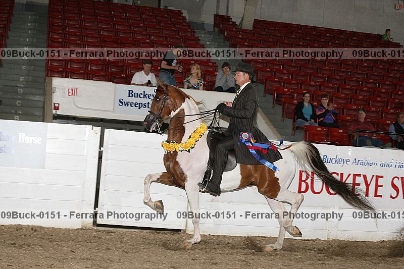 Proof 09buck-0151