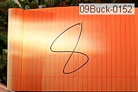 09buck-0152 proof