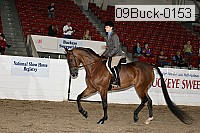 09buck-0153 proof