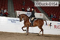 09buck-0154 proof