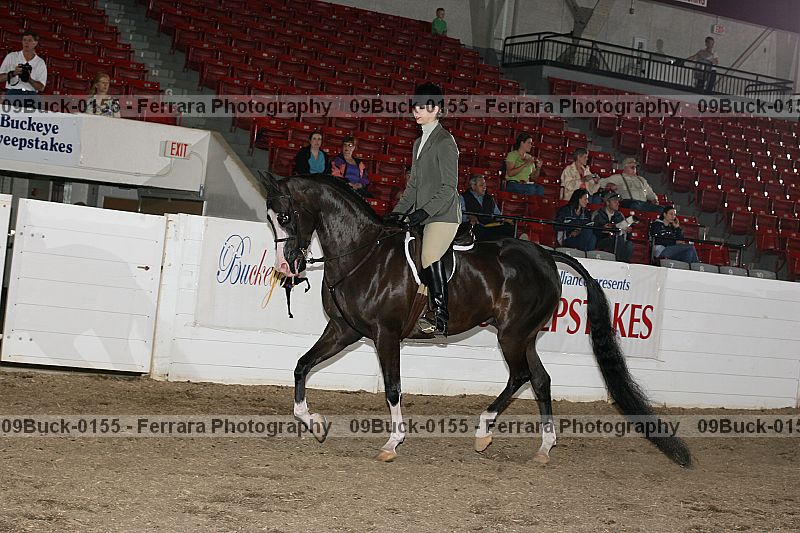 Proof 09buck-0155