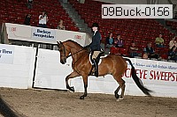 09buck-0156 proof