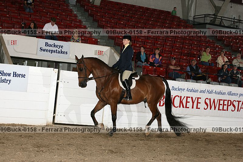 Proof 09buck-0158