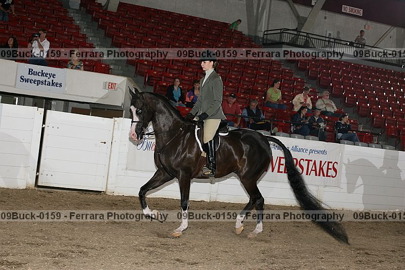 Proof 09buck-0159