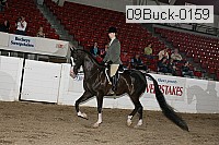 09buck-0159 proof