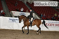 09buck-0160 proof
