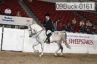 09buck-0161 proof