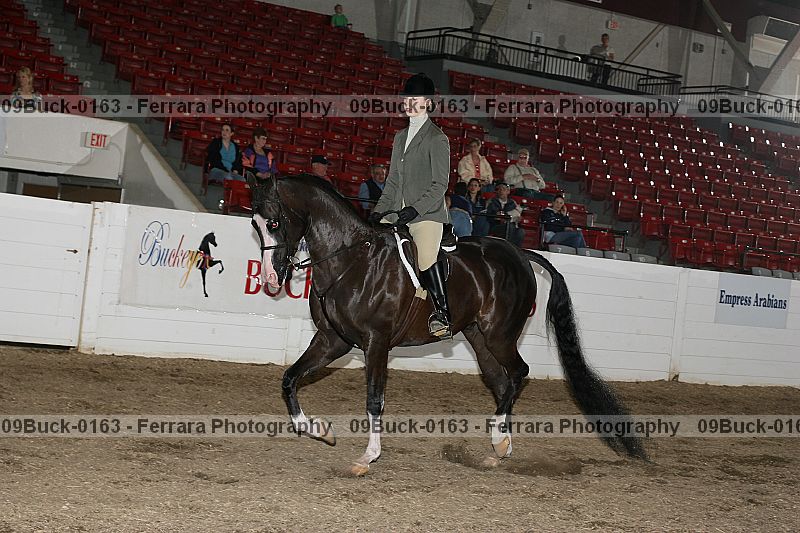 Proof 09buck-0163