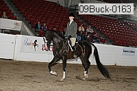 09buck-0163 proof