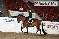 09buck-0164 proof