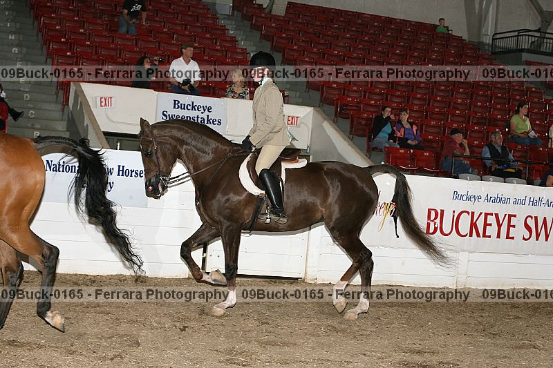 Proof 09buck-0165