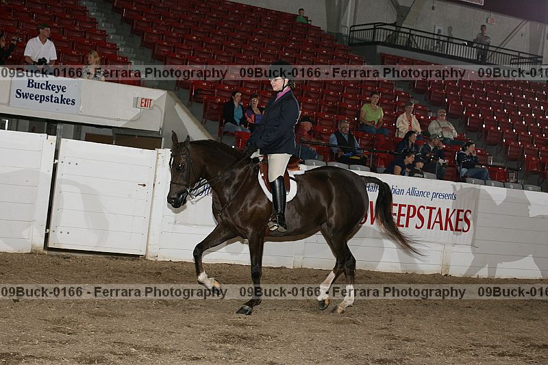 Proof 09buck-0166
