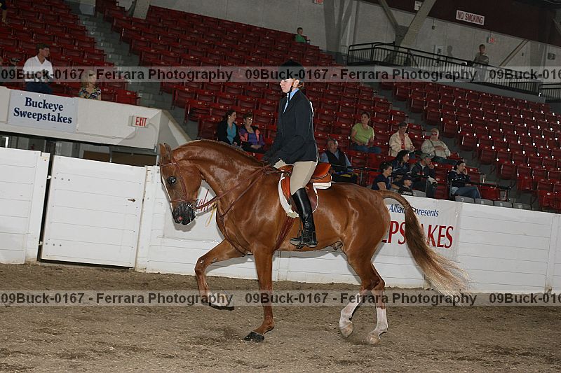 Proof 09buck-0167