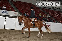 09buck-0167 proof