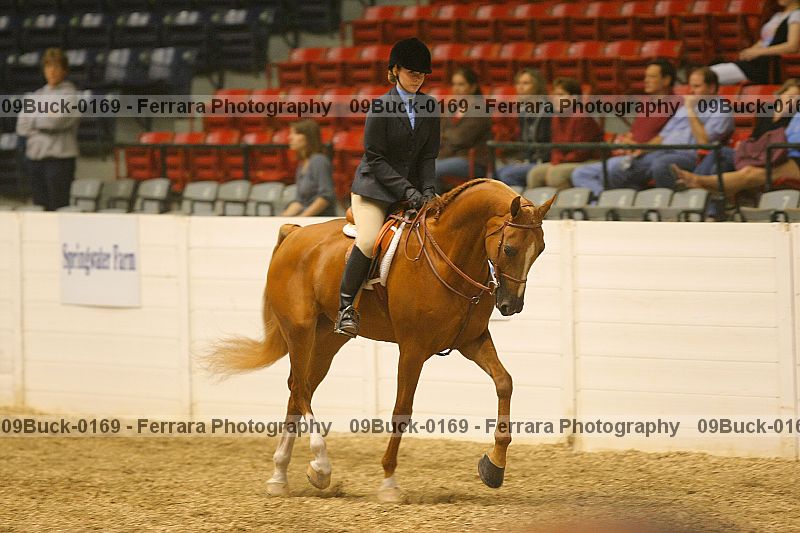 Proof 09buck-0169