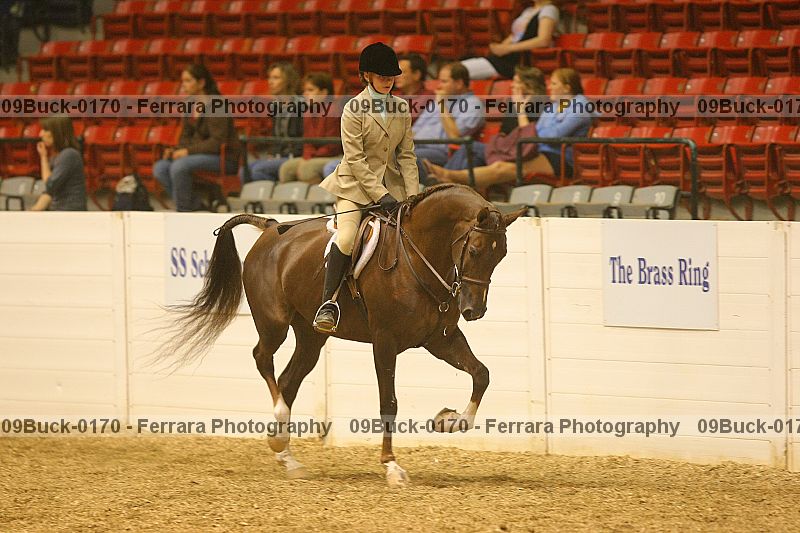 Proof 09buck-0170
