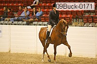 09buck-0171 proof