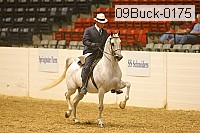 09buck-0175 proof