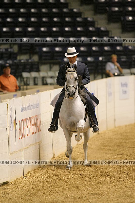 Proof 09buck-0176