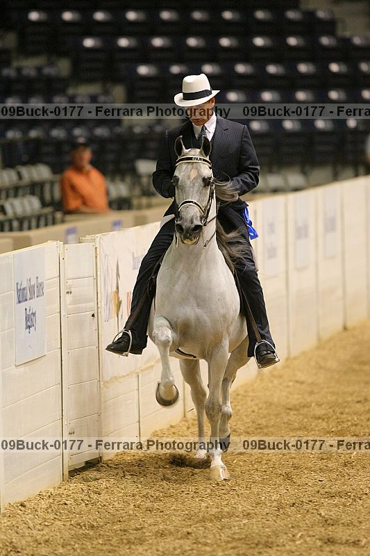 Proof 09buck-0177