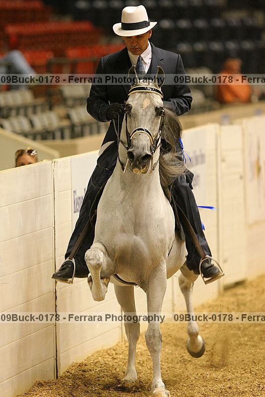 Proof 09buck-0178