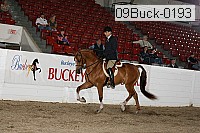 09buck-0193 proof