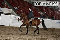 09buck-0195 proof