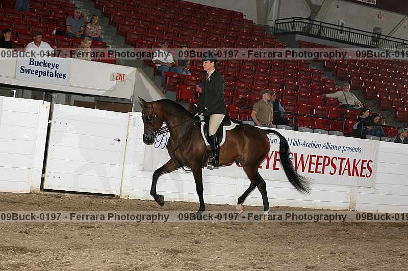 Proof 09buck-0197