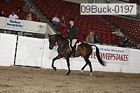 09buck-0197 proof