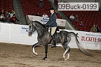 09buck-0199 proof