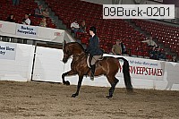 09buck-0201 proof