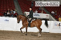 09buck-0202 proof