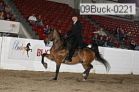 09buck-0221 proof