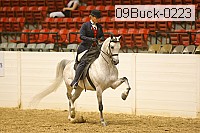 09buck-0223 proof