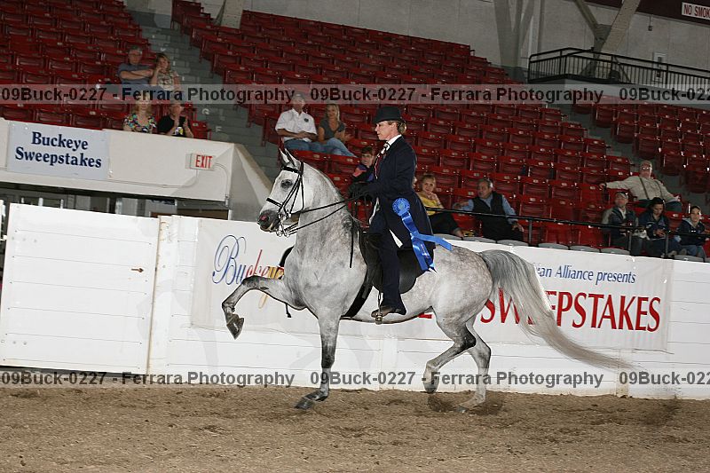 Proof 09buck-0227