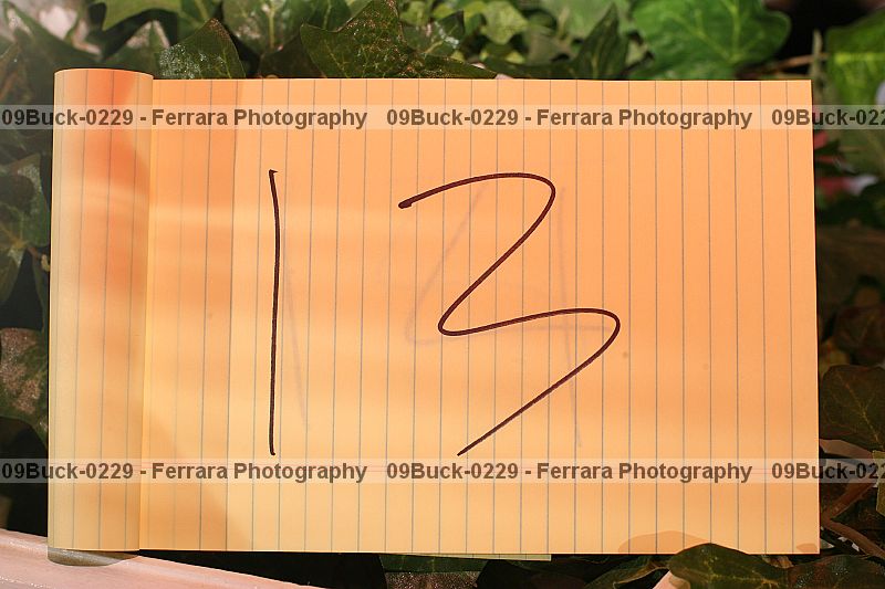 Proof 09buck-0229