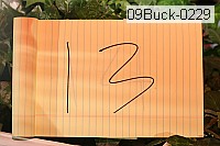 09buck-0229 proof